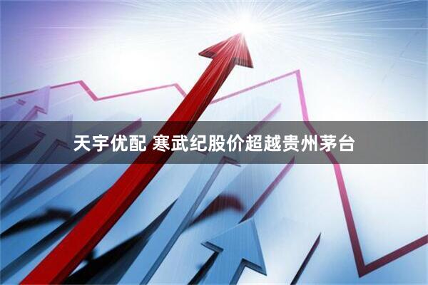 天宇优配 寒武纪股价超越贵州茅台