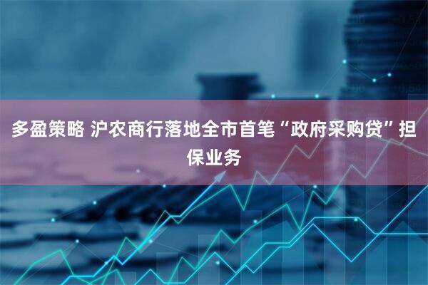多盈策略 沪农商行落地全市首笔“政府采购贷”担保业务
