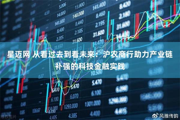 星迈网 从看过去到看未来：沪农商行助力产业链补强的科技金融实践