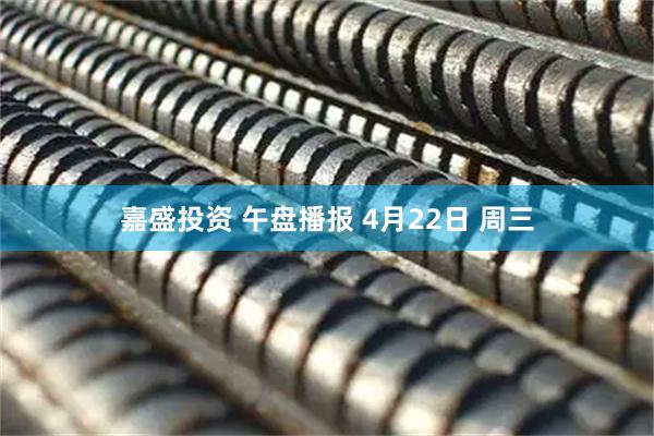 嘉盛投资 午盘播报 4月22日 周三