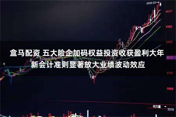 盒马配资 五大险企加码权益投资收获盈利大年 新会计准则显著放大业绩波动效应